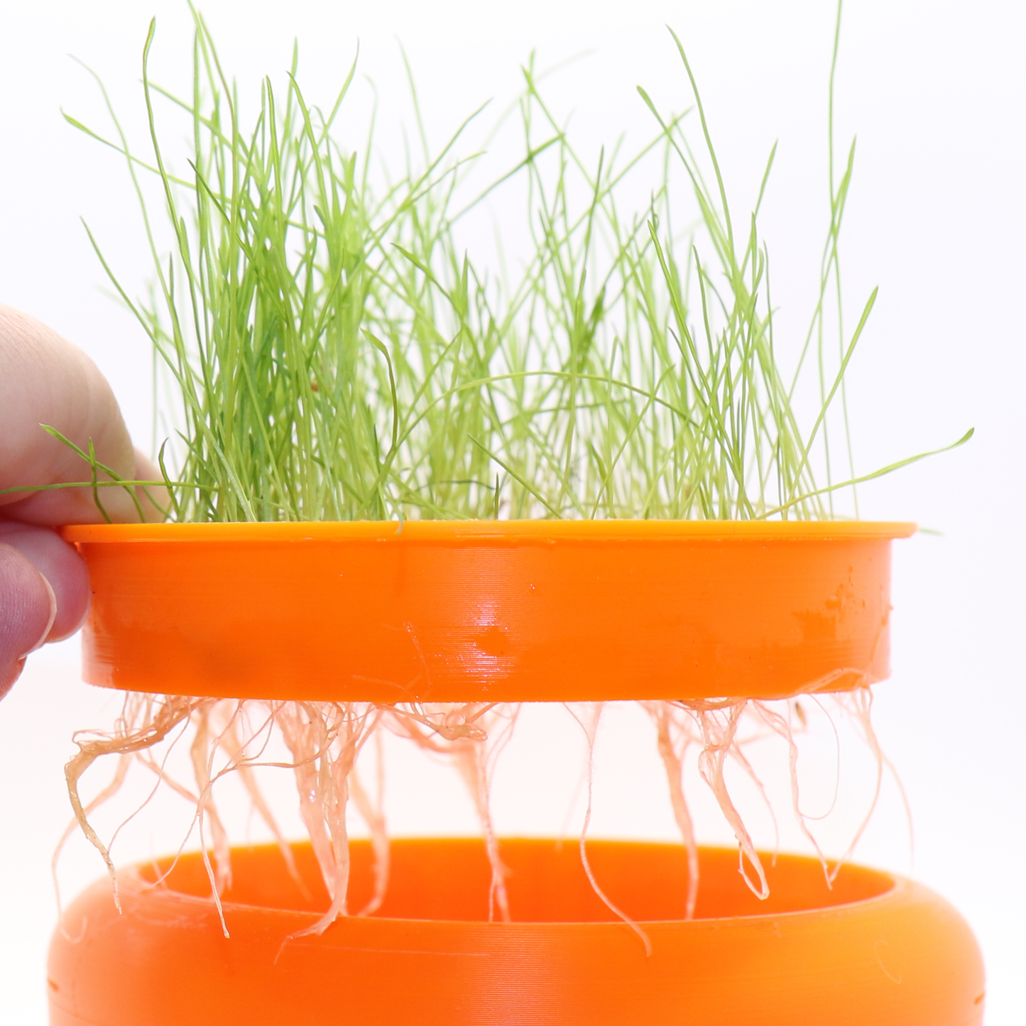 Cat Grass Hydro Planter