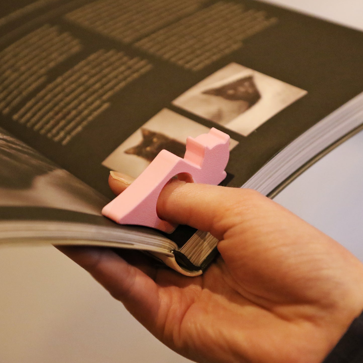 Kirja Kisu Book Kitty