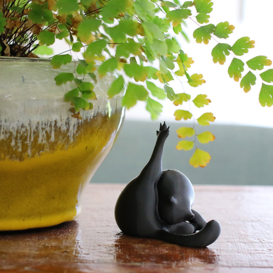 Lickety Split (6-Pack)