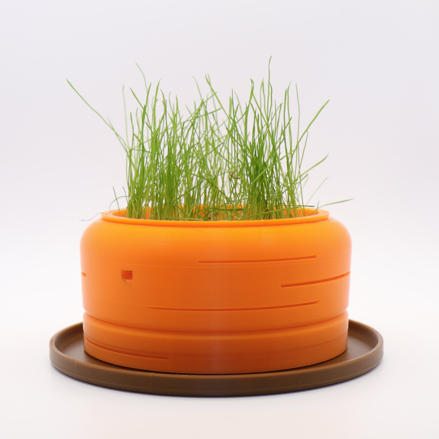 Cat Grass Hydro Planter