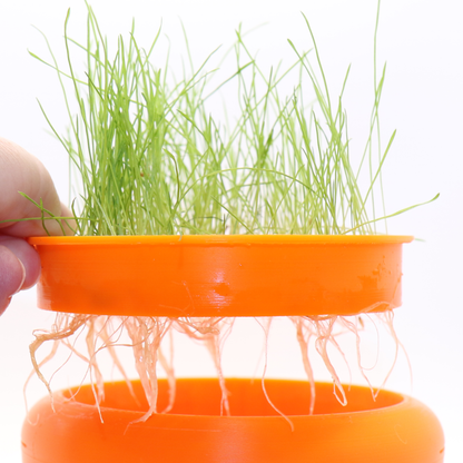 Cat Grass Hydro Planter