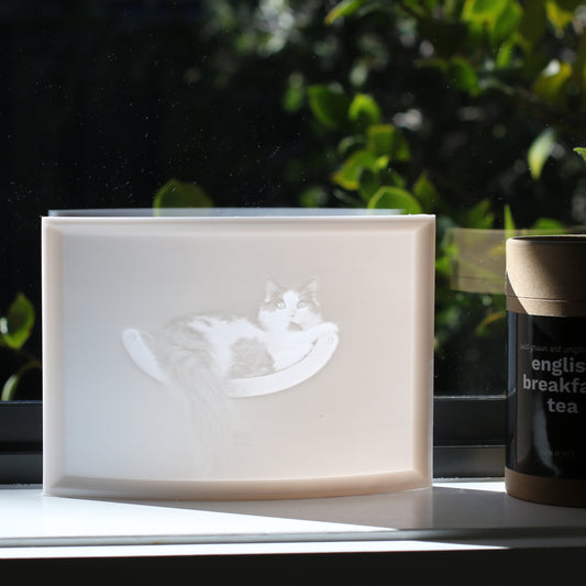 Custom Lithophane