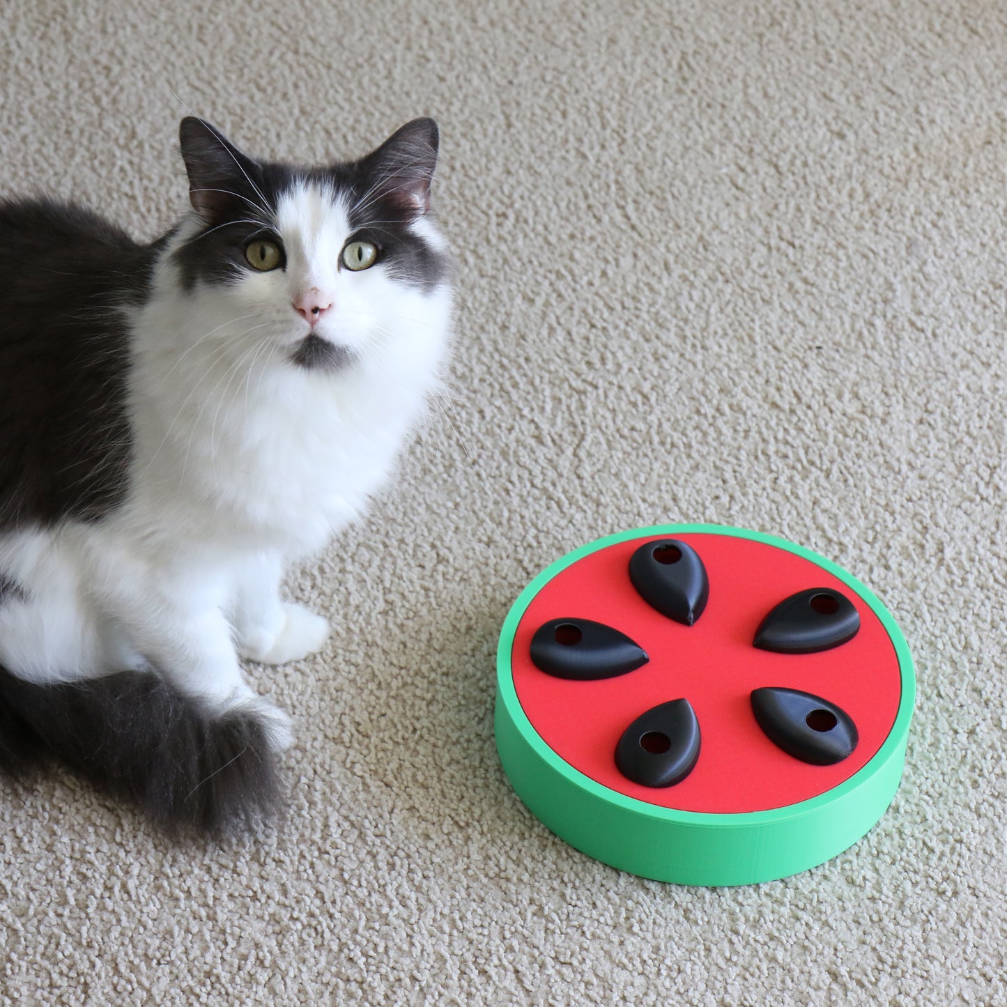 Watermelon Treat Puzzle Toy