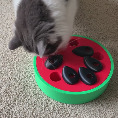 Watermelon Treat Puzzle Toy